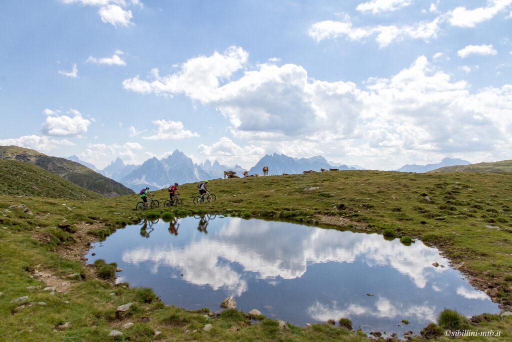 5-Alta via Dobbiaco