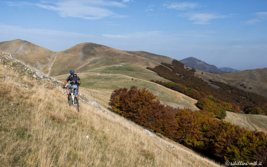 3-Poggio%20di%20Croce