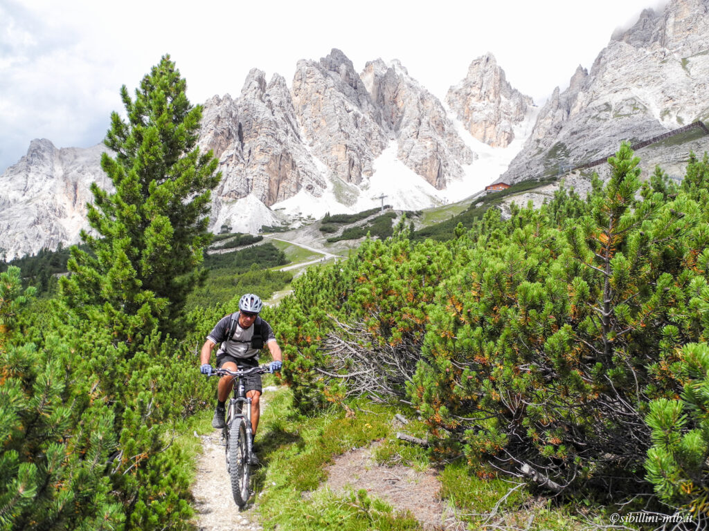 6-Cortina%20Freeride