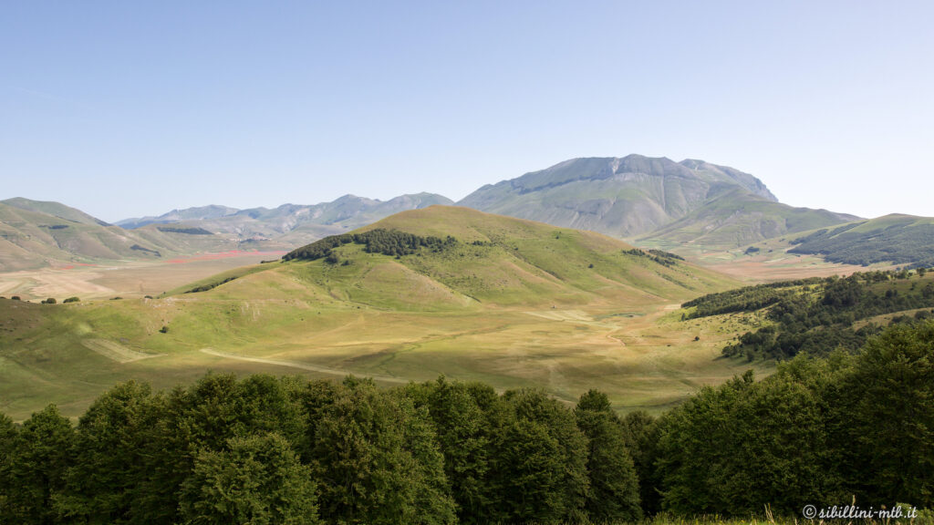 8-Castelluccio