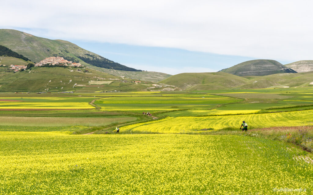 8-Sopra%20i%20Piani